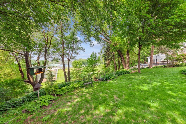 3703 Beard Ave N, Robbinsdale, MN 55422 - view of yard