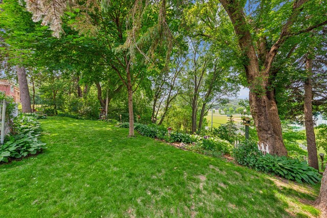 3703 Beard Ave N, Robbinsdale, MN 55422 - view of green lawn