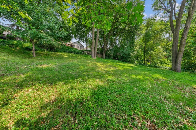 3703 Beard Ave N, Robbinsdale, MN 55422 - view of green lawn