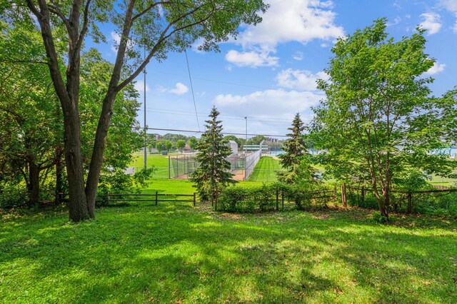 3703 Beard Ave N, Robbinsdale, MN 55422 - view of yard