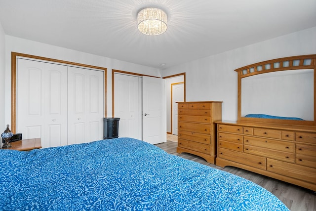 4193 Austin Rd, Owatonna, MN 55060 - bedroom with multiple closets, wood finished floors, and a chandelier