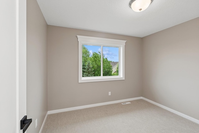 309 Knights Rd, Elko New Market, MN 55054 - photo 18