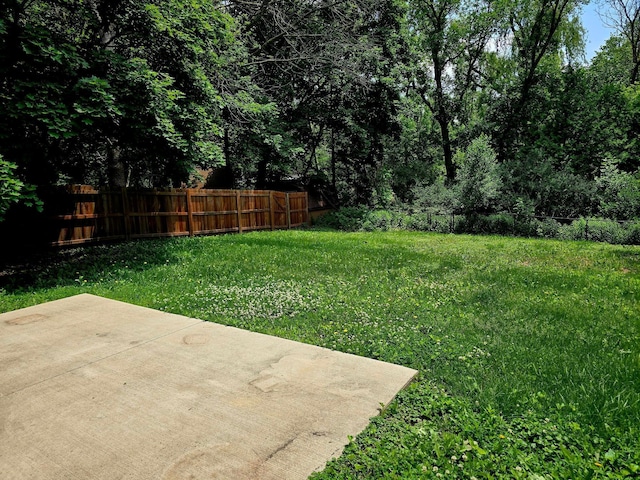 2607 4th Ave NW, Austin, MN 55912 - fenced backyard featuring a patio area