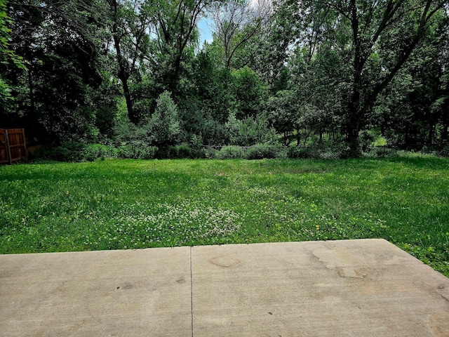 2607 4th Ave NW, Austin, MN 55912 - view of yard