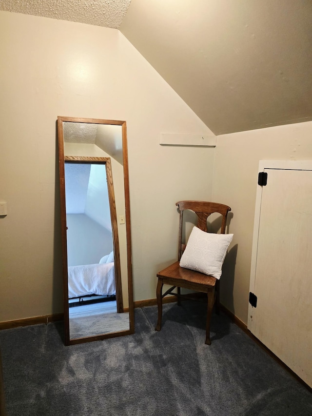 2607 4th Ave NW, Austin, MN 55912 - sitting room featuring lofted ceiling, carpet floors, and a textured ceiling