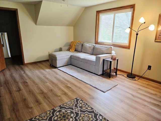 2607 4th Ave NW, Austin, MN 55912 - living area featuring wood finished floors and vaulted ceiling