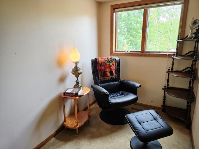 2607 4th Ave NW, Austin, MN 55912 - living area with carpet and baseboards