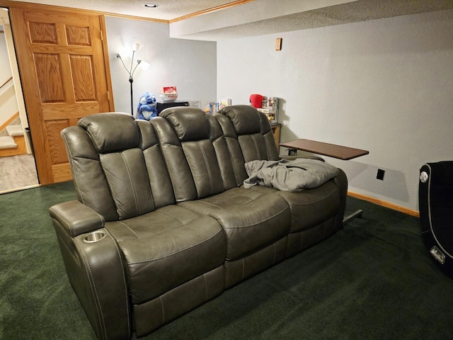 2607 4th Ave NW, Austin, MN 55912 - carpeted home theater featuring a textured ceiling and baseboards