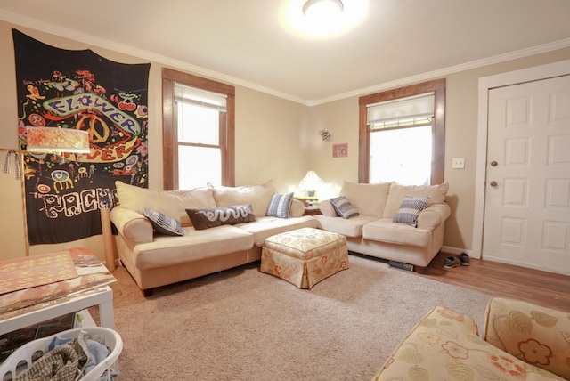 3511 Snelling Ave, Minneapolis, MN 55406 - photo 3