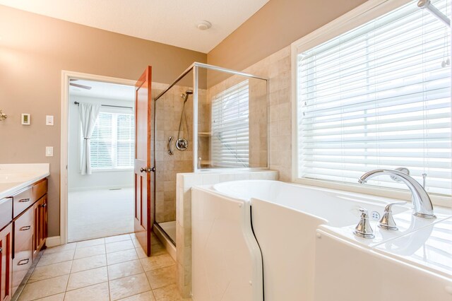 10725 Toledo Ln N, Brooklyn Park, MN 55443 - full bathroom with a garden tub, a shower stall, vanity, and tile patterned flooring