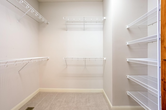 10725 Toledo Ln N, Brooklyn Park, MN 55443 - walk in closet with carpet floors