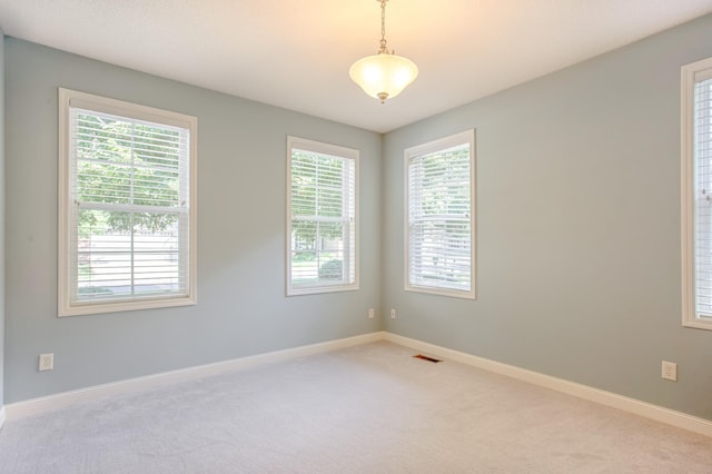 10725 Toledo Ln N, Brooklyn Park, MN 55443 - spare room with light carpet and baseboards