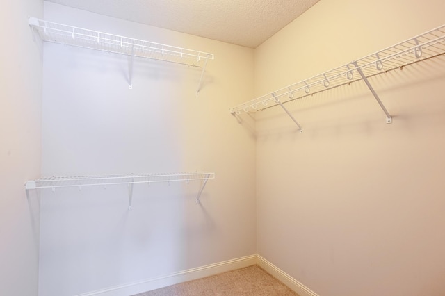 10725 Toledo Ln N, Brooklyn Park, MN 55443 - spacious closet with carpet