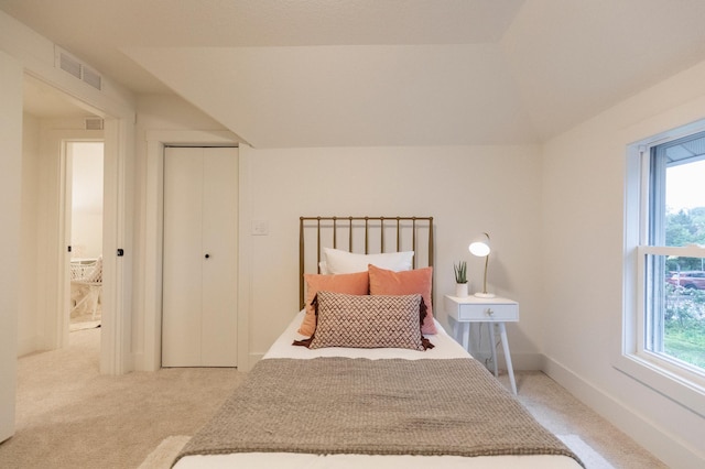 212 Diamond Lake Rd, Minneapolis, MN 55419 - bedroom with light carpet, multiple windows, vaulted ceiling, and a closet