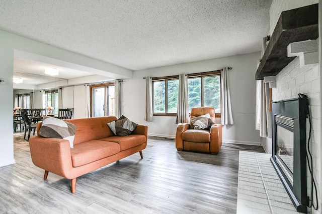 7097 Robinwood Bay, Woodbury, MN 55125 - living room featuring a textured ceiling, wood finished floors, and a fireplace