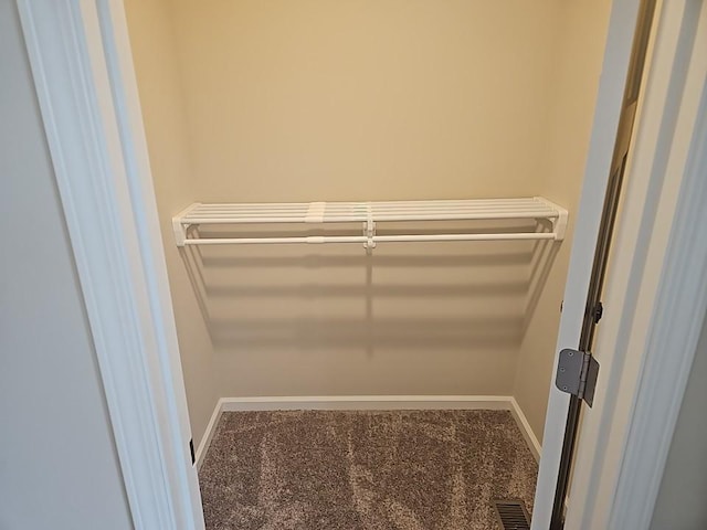 591 Alaska Loop, Cambridge, MN 55008 - walk in closet with carpet