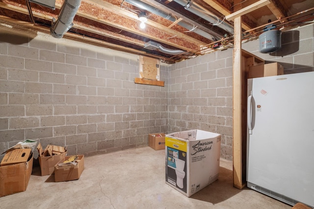 23148 Glenhaven Dr, Nevis, MN 56467 - unfinished basement with freestanding refrigerator