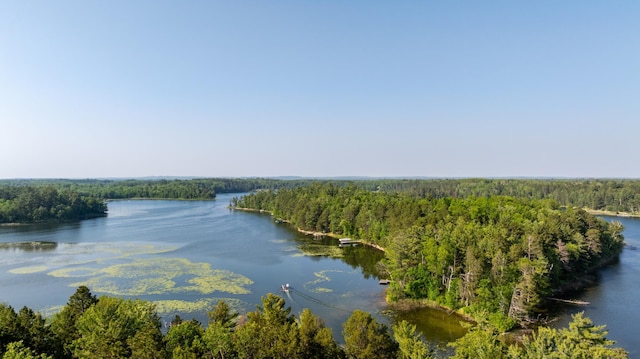 23148 Glenhaven Dr, Nevis, MN 56467 - water view featuring a forest
