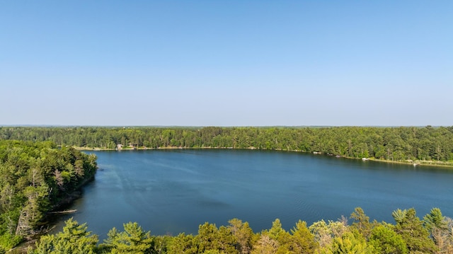 23148 Glenhaven Dr, Nevis, MN 56467 - water view with a heavily wooded area