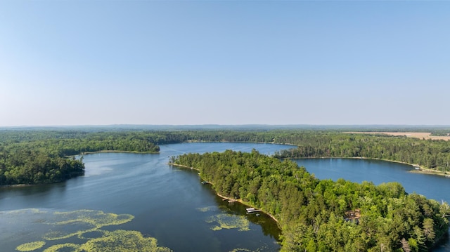 23148 Glenhaven Dr, Nevis, MN 56467 - bird's eye view of a large body of water