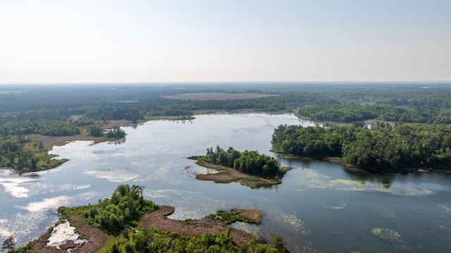 23148 Glenhaven Dr, Nevis, MN 56467 - bird's eye view of a large body of water and a forest