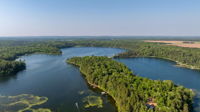 23148 Glenhaven Dr, Nevis, MN 56467 - drone / aerial view of a heavily wooded area and a large body of water