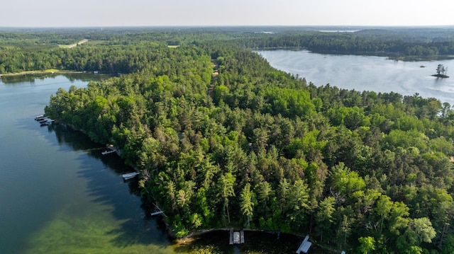 23148 Glenhaven Dr, Nevis, MN 56467 - bird's eye view of a forest and a nearby body of water
