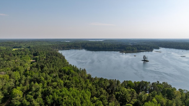 23148 Glenhaven Dr, Nevis, MN 56467 - drone / aerial view of a forest and a large body of water