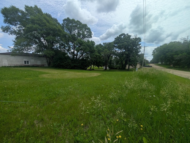 9615 Main St, Elko New Market, MN 55020 - photo 4