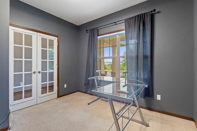 17393 54th St NE, Otsego, MN 55374 - carpeted home office featuring french doors and a textured ceiling