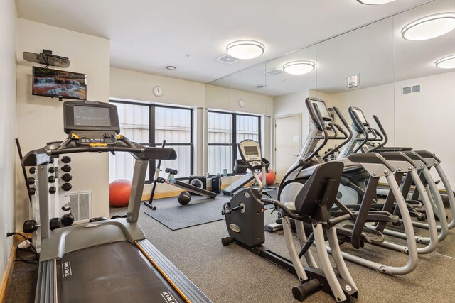 270 4th St E Unit 509, Saint Paul, MN 55101 - exercise room featuring carpet flooring