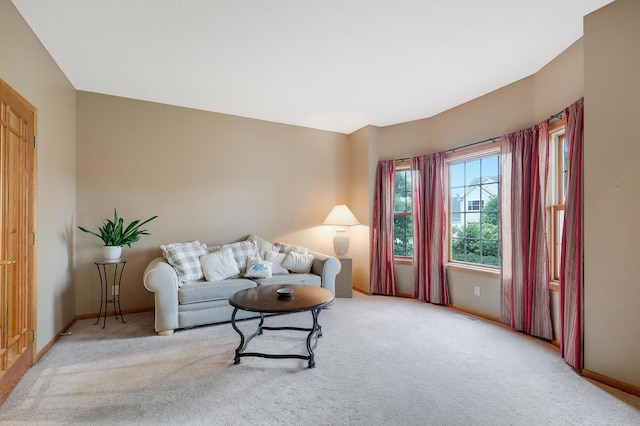 13996 Hollyhock Ln, Rogers, MN 55374 - photo 14