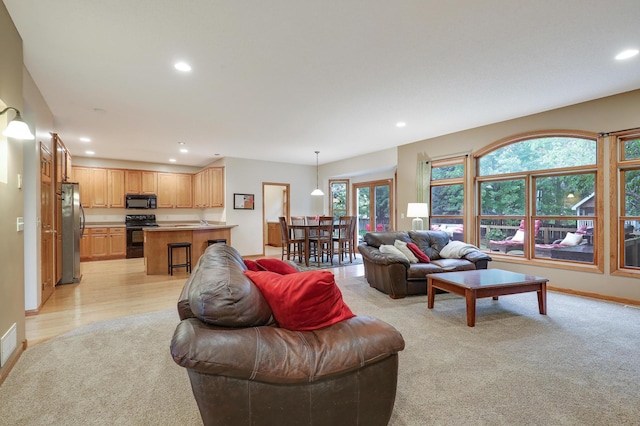 13996 Hollyhock Ln, Rogers, MN 55374 - photo 20
