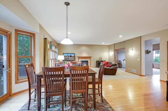 13996 Hollyhock Ln, Rogers, MN 55374 - photo 23