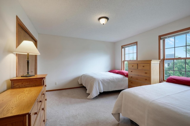 13996 Hollyhock Ln, Rogers, MN 55374 - photo 45
