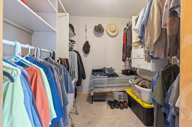 7270 Stone Rdg, Crow Wing Twp, MN 56401 - view of spacious closet