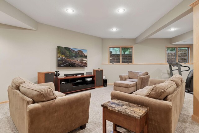 1115 Willow River Rd N, Hudson, WI 54016 - photo 26