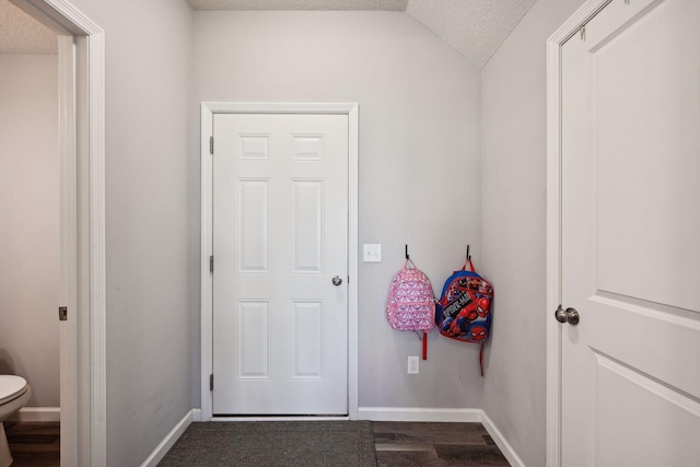 9266 26th St NE, Saint Michael, MN 55376 - mudroom featuring a textured ceiling, dark wood finished floors, and lofted ceiling