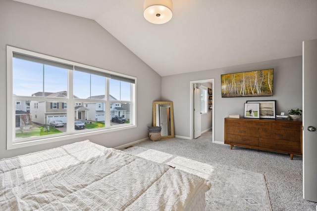 9266 26th St NE, Saint Michael, MN 55376 - carpeted bedroom with lofted ceiling and a spacious closet