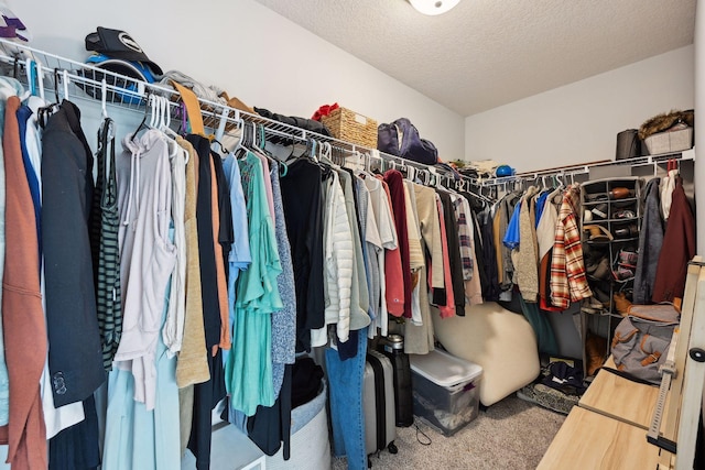 9266 26th St NE, Saint Michael, MN 55376 - spacious closet with carpet floors