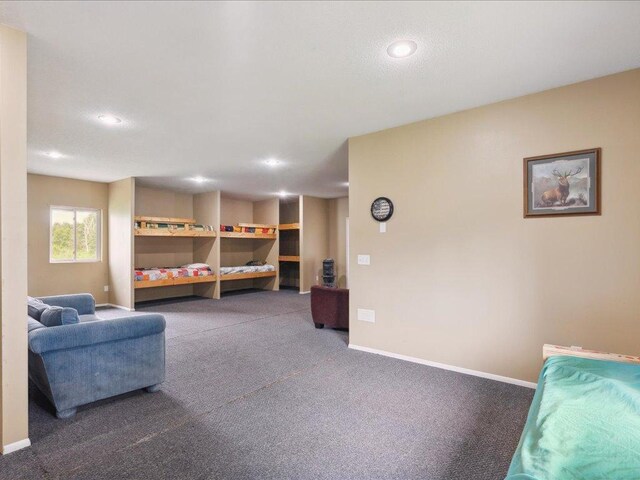 25935 310th St, Sebeka, MN 56477 - living area with carpet and recessed lighting