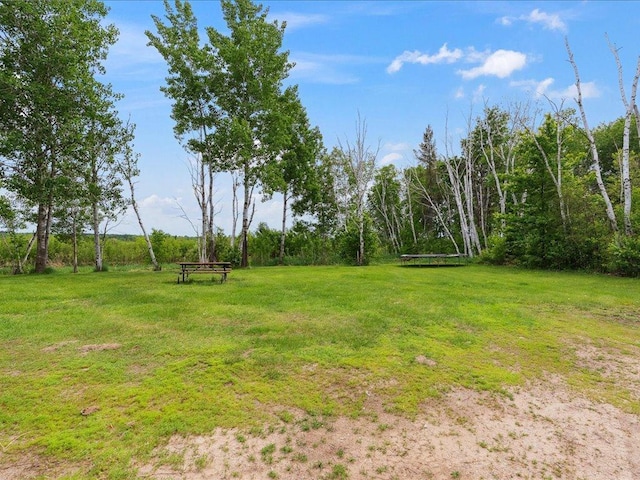 25935 310th St, Sebeka, MN 56477 - view of grassy yard