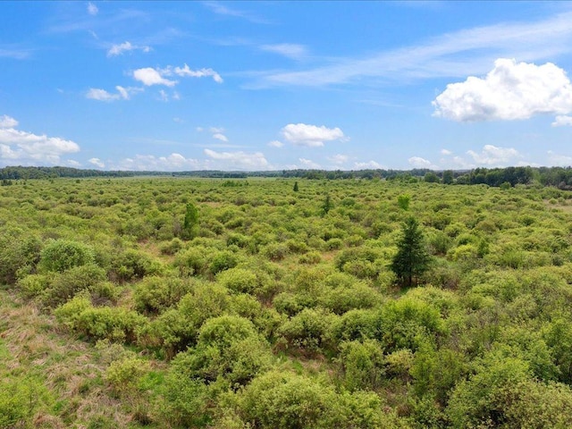 25935 310th St, Sebeka, MN 56477 - view of nature