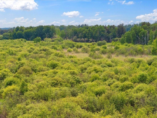 25935 310th St, Sebeka, MN 56477 - view of woods
