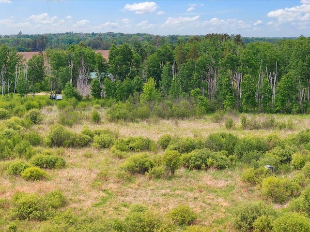 25935 310th St, Sebeka, MN 56477 - view of local wilderness
