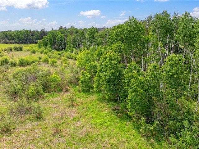 25935 310th St, Sebeka, MN 56477 - view of tree filled area