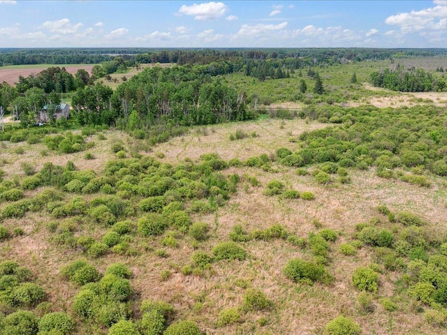25935 310th St, Sebeka, MN 56477 - aerial view
