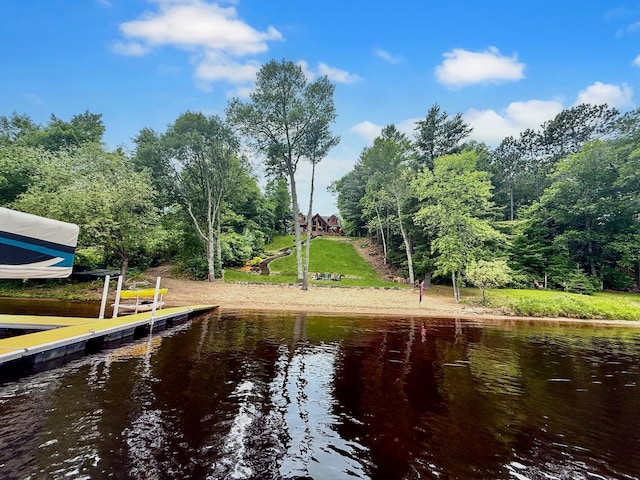 49512 202nd Pl, Shamrock Twp, MN 55760 - dock area featuring a water view