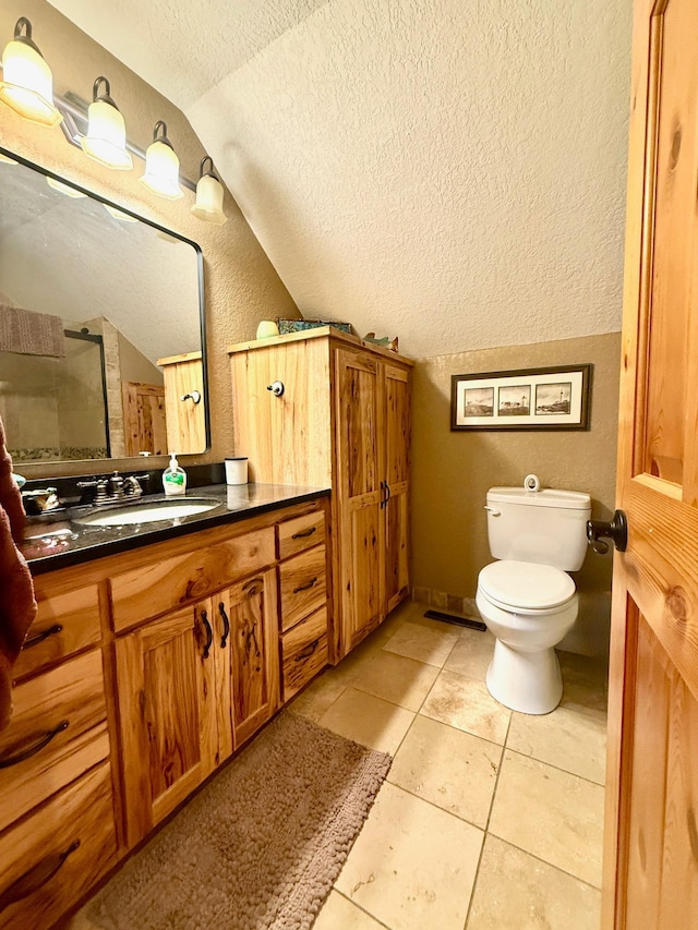 49512 202nd Pl, Shamrock Twp, MN 55760 - full bathroom with vaulted ceiling, a textured ceiling, vanity, tile patterned flooring, and a shower with shower door