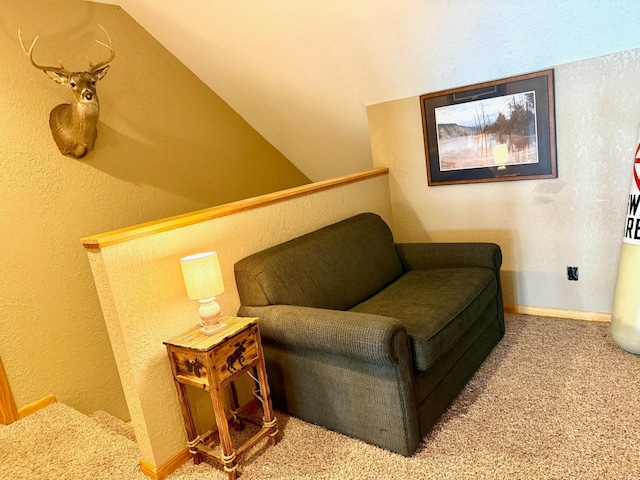 49512 202nd Pl, Shamrock Twp, MN 55760 - living area featuring carpet floors and baseboards